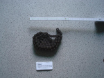 Chain for self cleaning button trap P564-5.100