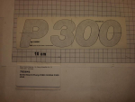 Schild,Beschriftung,"P300",210x56mm