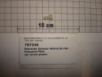Cylinder screw plastic M5x10